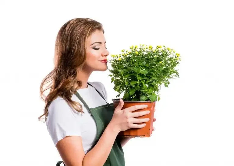 12 Benefits of Gardening on Health