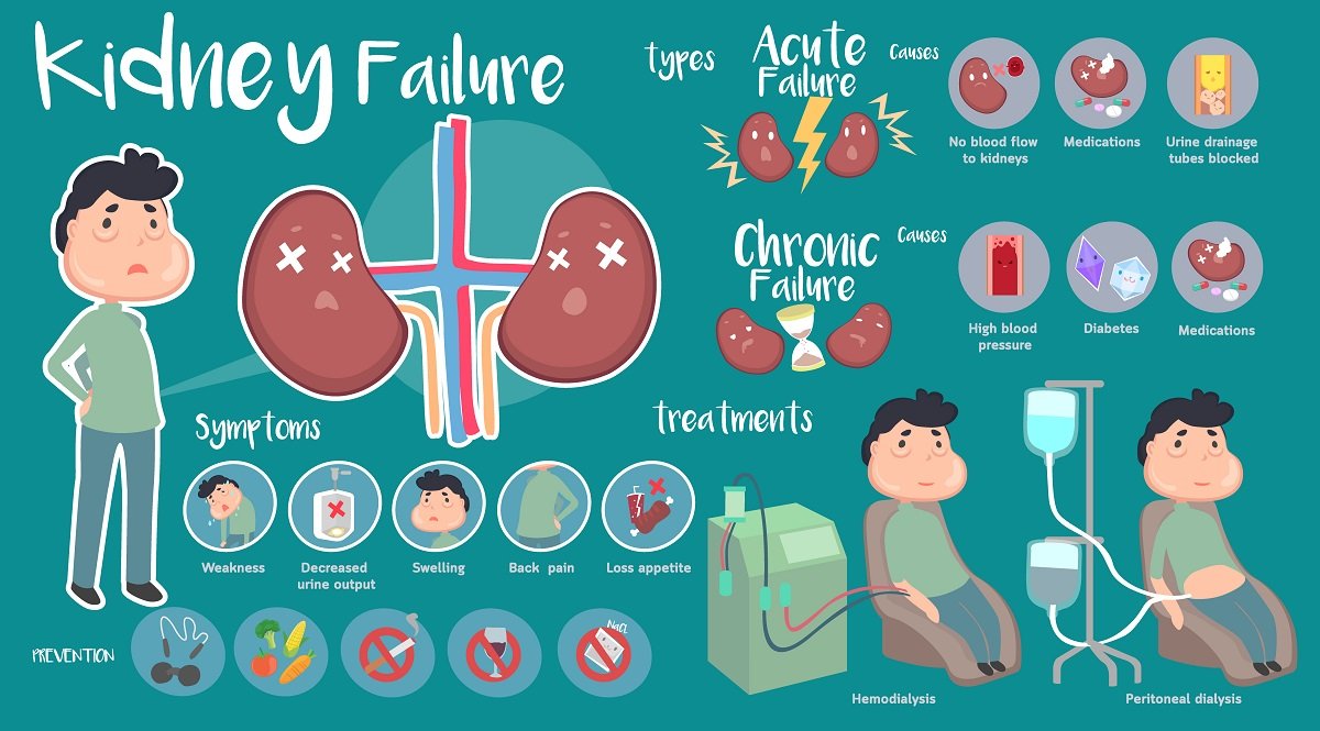 Acute kidney failure vs chronic kidney failure: Symptoms, Treatment, tips to keep kidney problems at bay