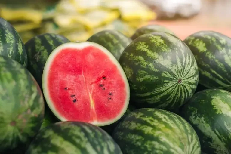 Discovering the Health Benefits and Delicious Recipes of Watermelon